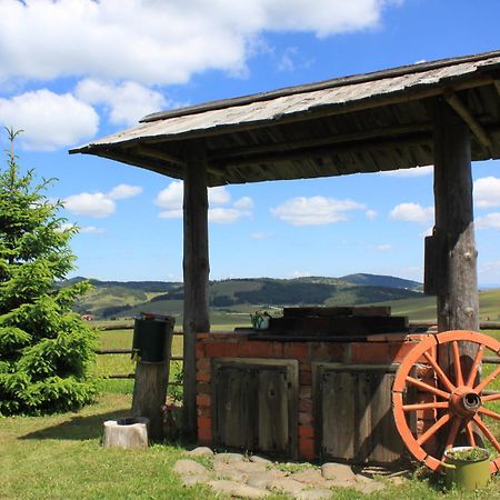 Vila Jela Tornik Zlatibor Esterno foto