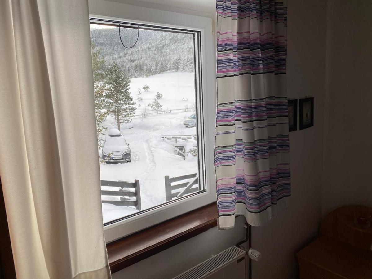 Vila Jela Tornik Zlatibor Esterno foto