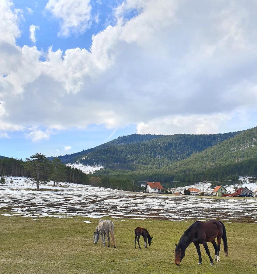 Vila Jela Tornik Zlatibor Esterno foto