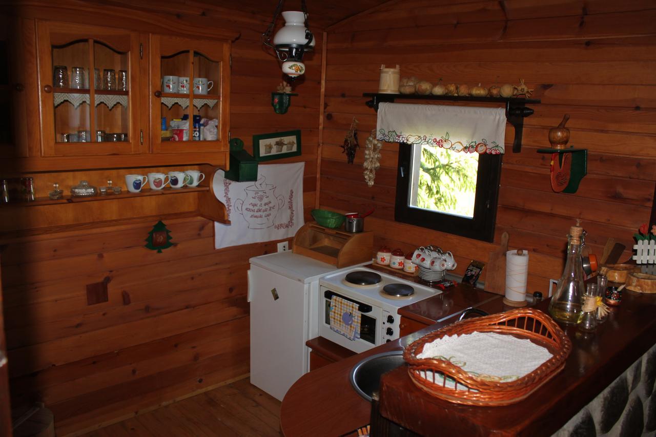 Vila Jela Tornik Zlatibor Esterno foto