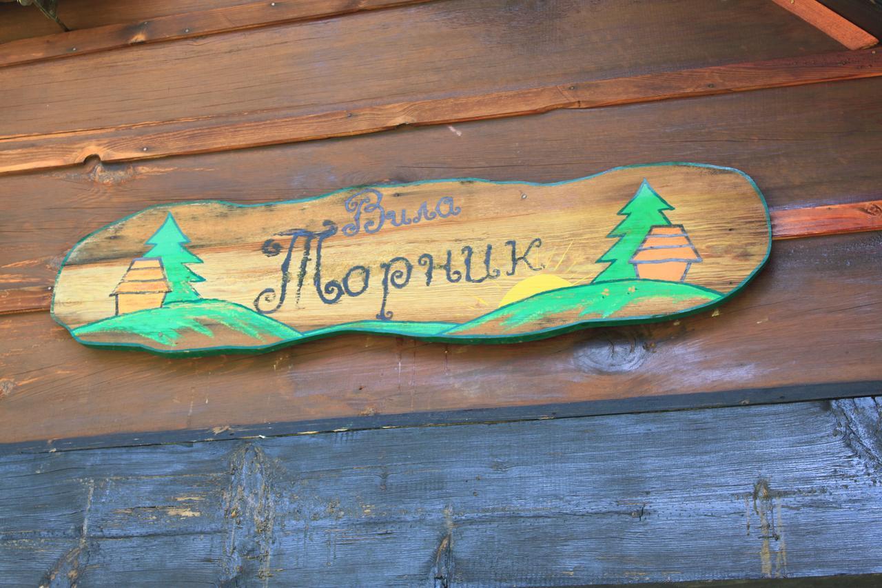 Vila Jela Tornik Zlatibor Esterno foto