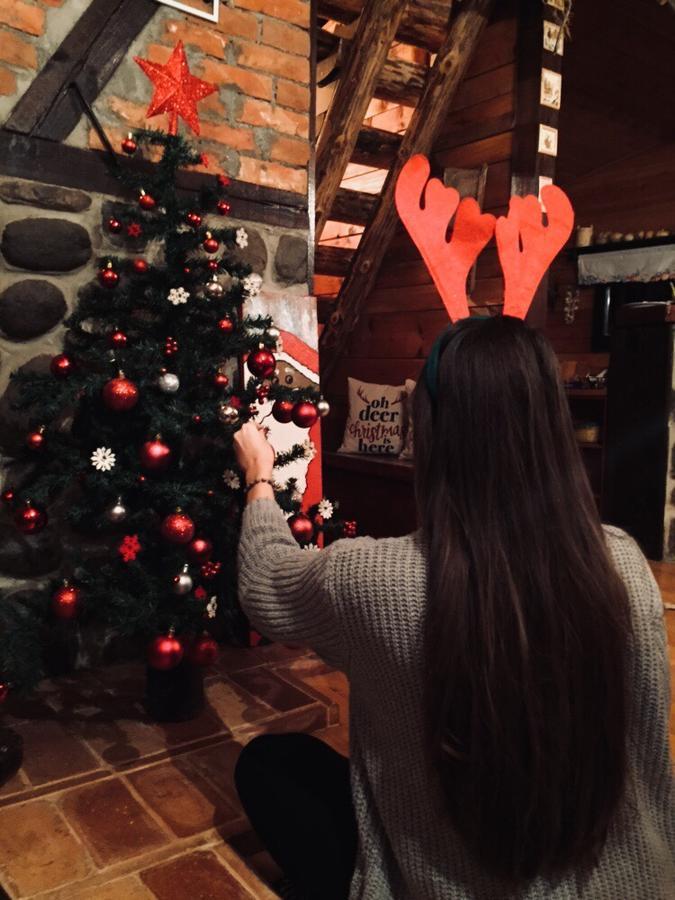 Vila Jela Tornik Zlatibor Esterno foto