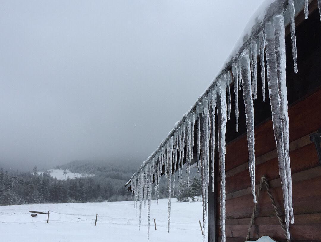 Vila Jela Tornik Zlatibor Esterno foto