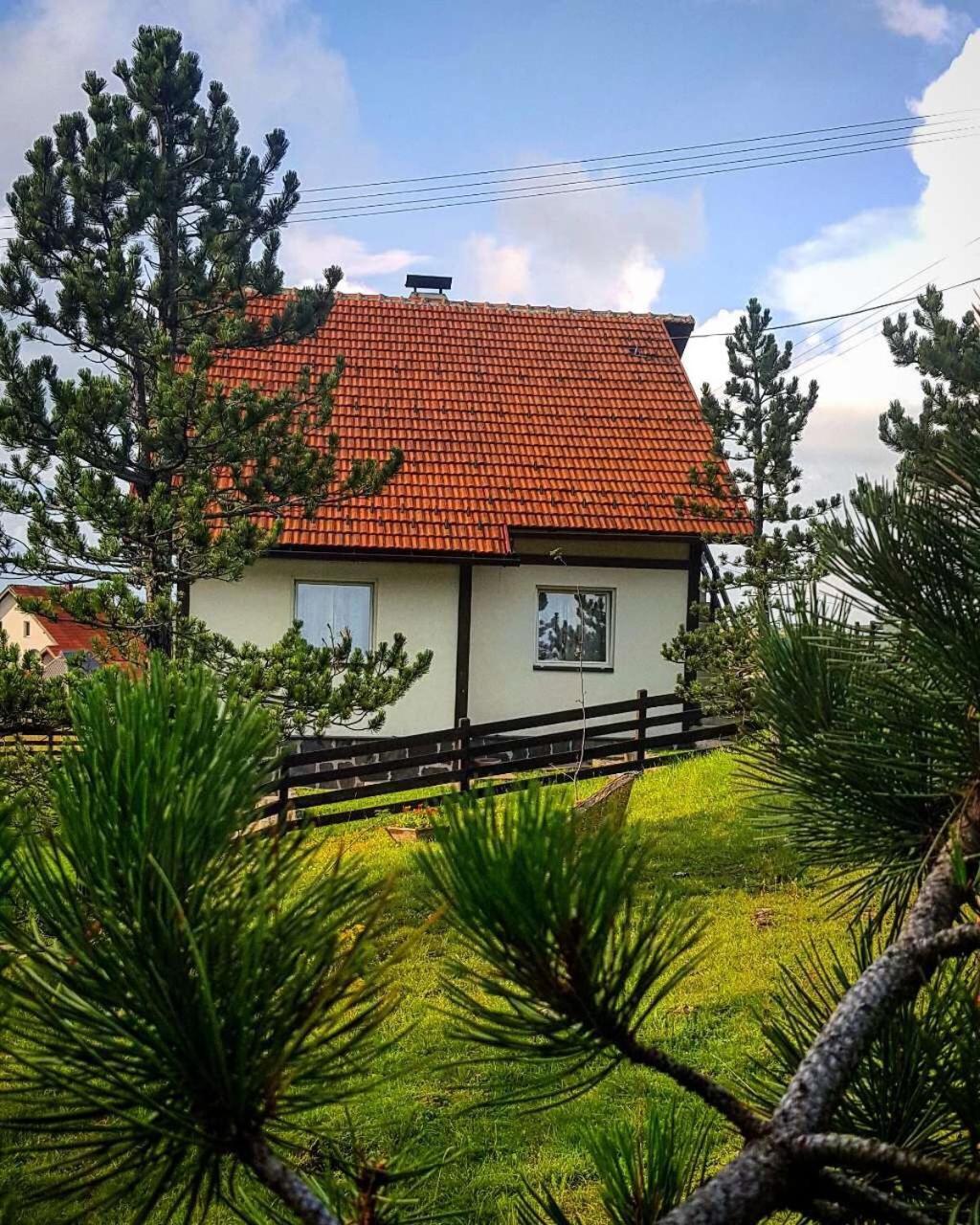 Vila Jela Tornik Zlatibor Esterno foto